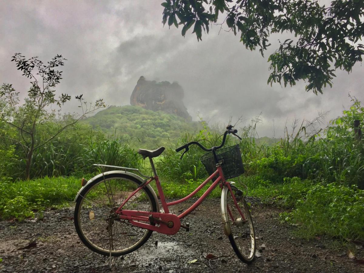 Shen Residence Sigiriya Dış mekan fotoğraf