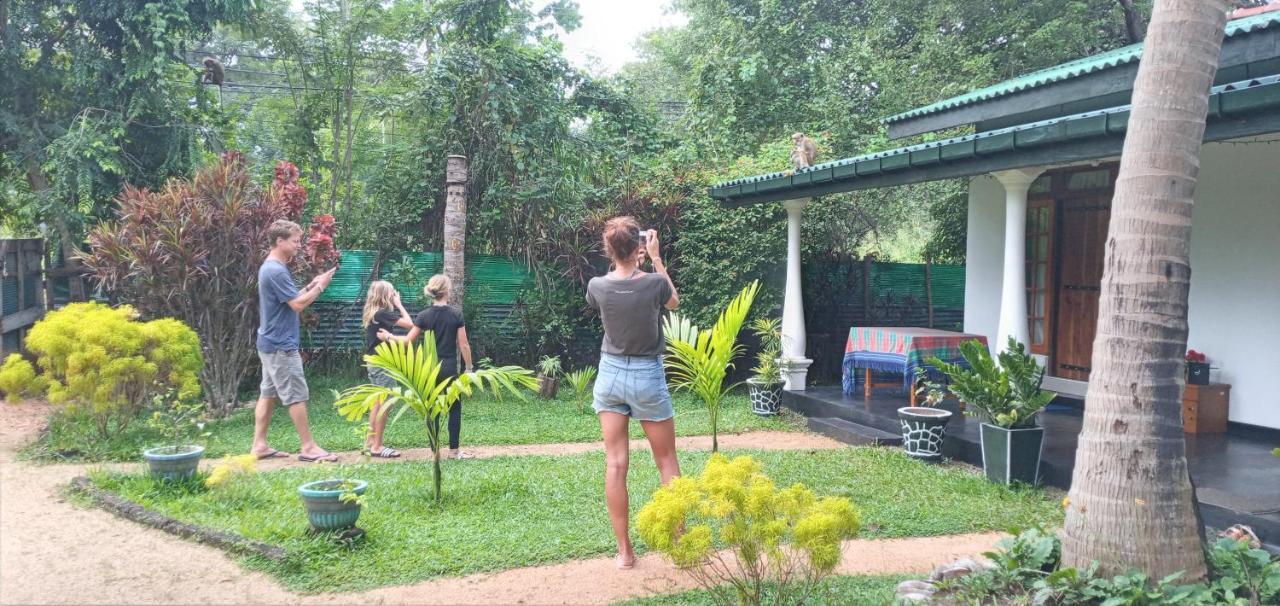 Shen Residence Sigiriya Dış mekan fotoğraf