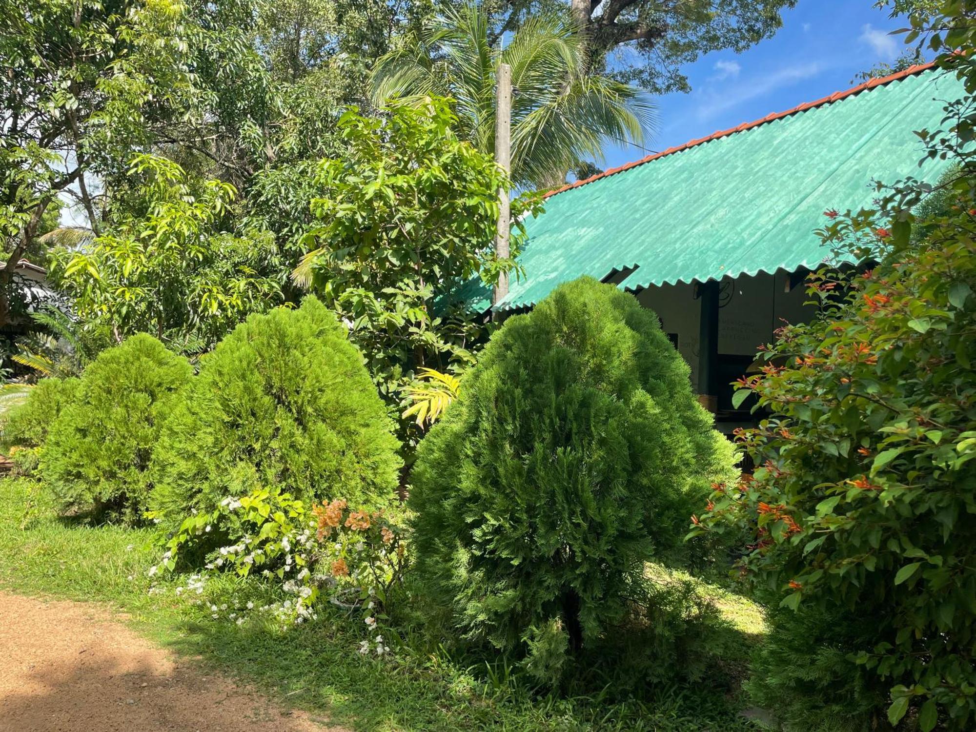 Shen Residence Sigiriya Dış mekan fotoğraf