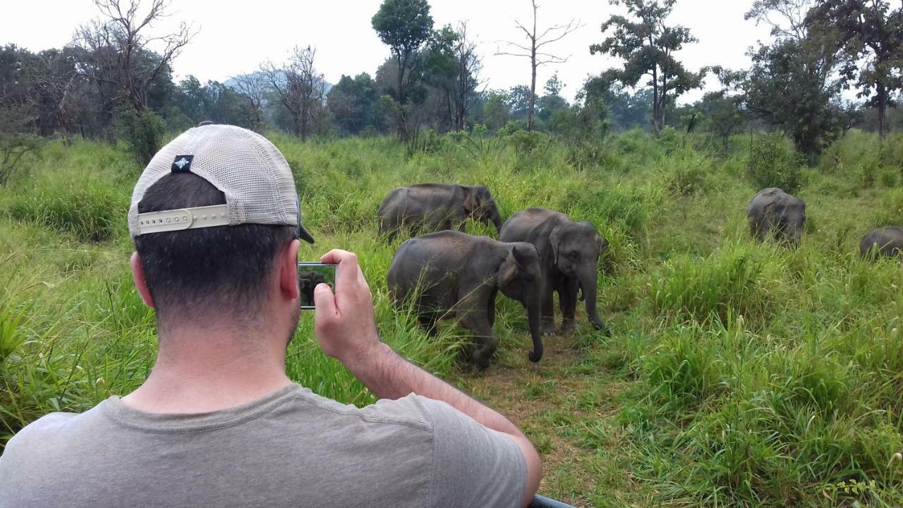 Shen Residence Sigiriya Dış mekan fotoğraf