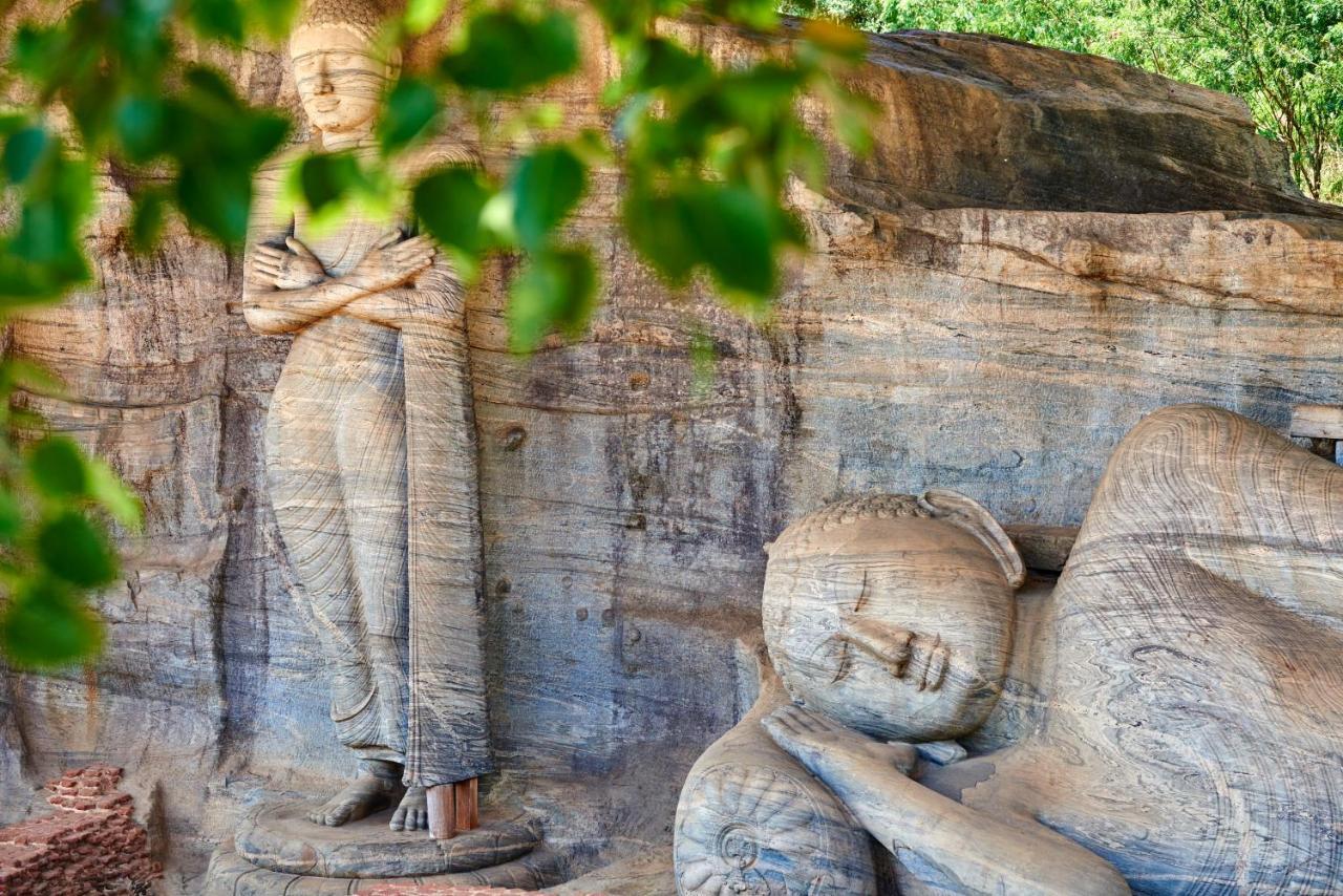 Shen Residence Sigiriya Dış mekan fotoğraf