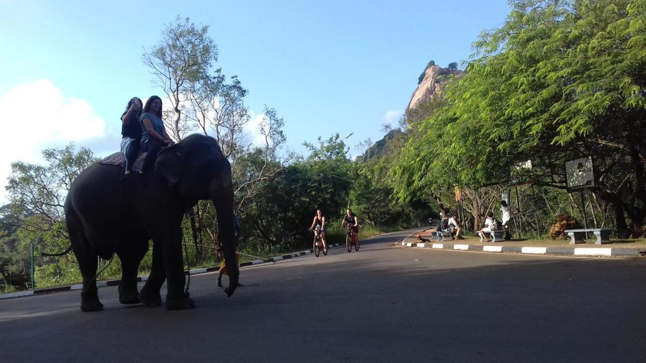 Shen Residence Sigiriya Dış mekan fotoğraf